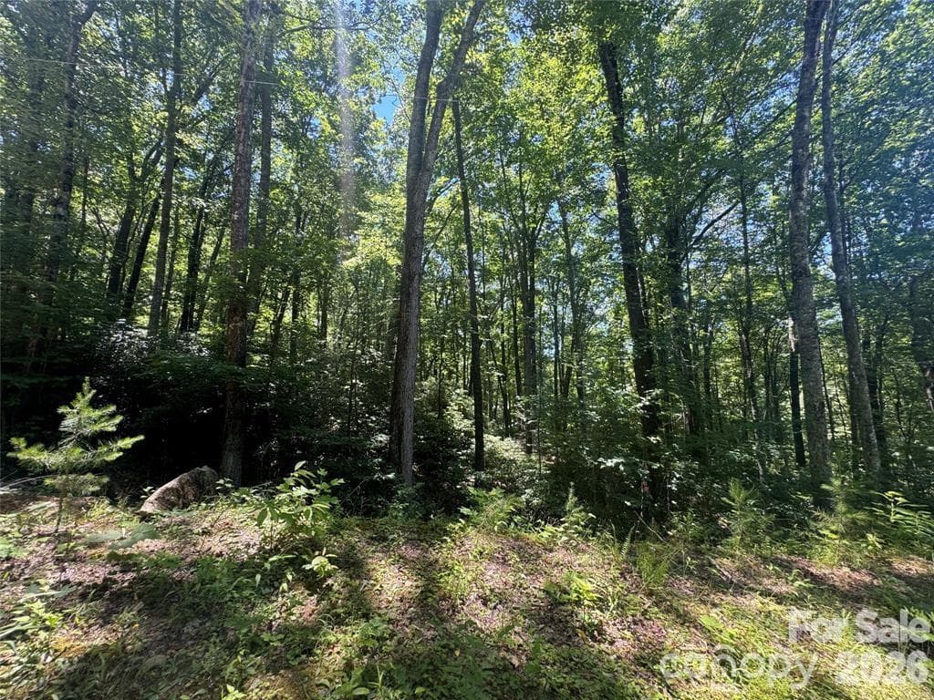 165 N Poplar Drive