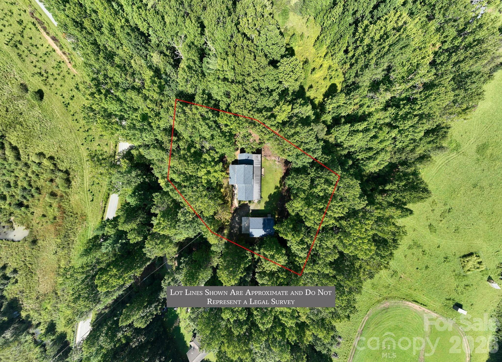 There is still plenty of room to clear more trees and still have plenty of privacy if you chose to do so. - 1886 Tanasee Gap Road, Balsam Grove