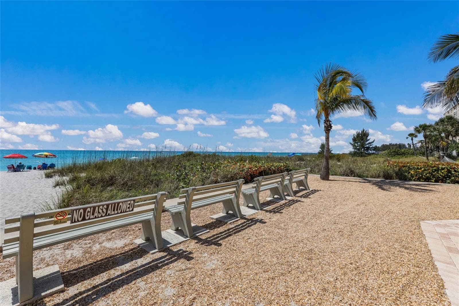 Beach Club Amenities - 4370 CHATHAM DR #304, LONGBOAT KEY