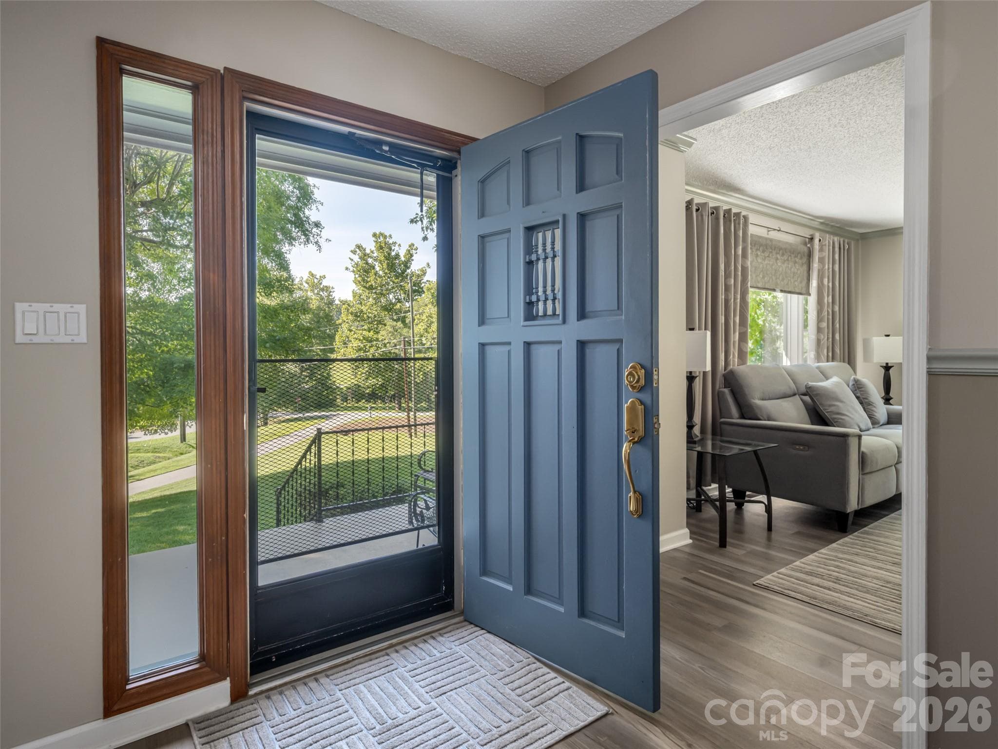 Quality storm door plus a solid-wood entry door. - 1 Morris Drive, Weaverville