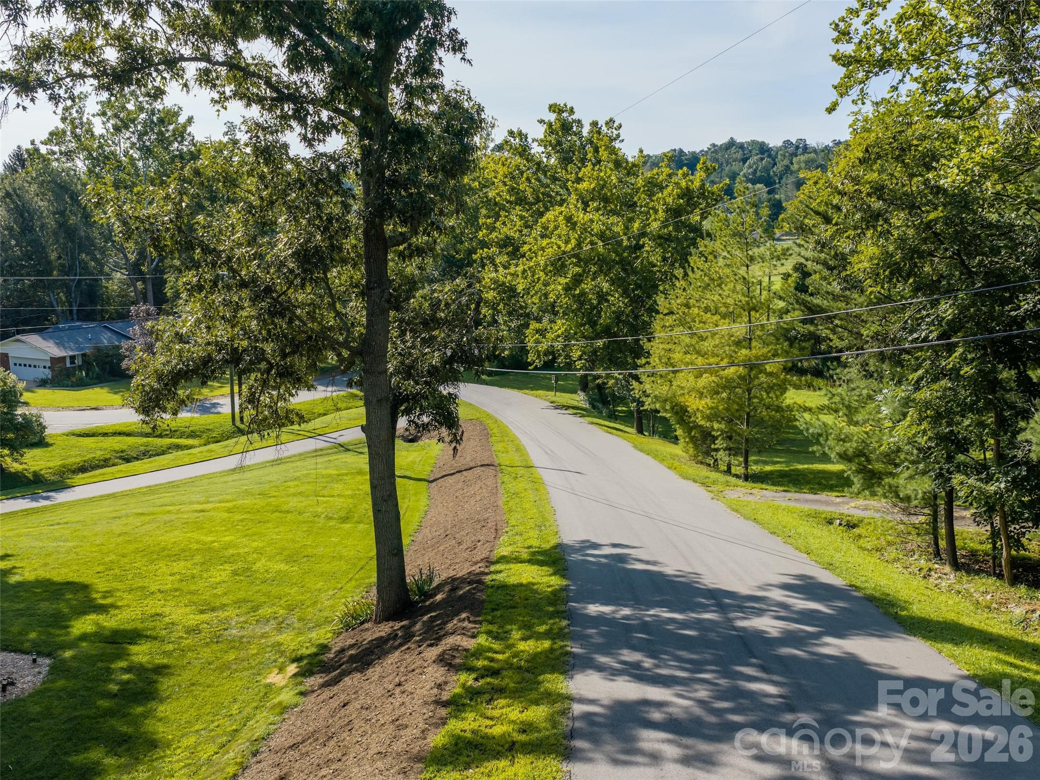 Right-side of acreage. - 1 Morris Drive, Weaverville