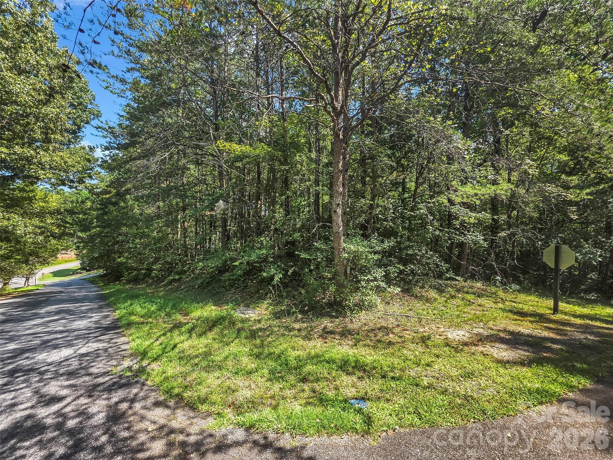 Lot at 0 Shumont Estates Drive, Lake Lure, photo 4 of 36