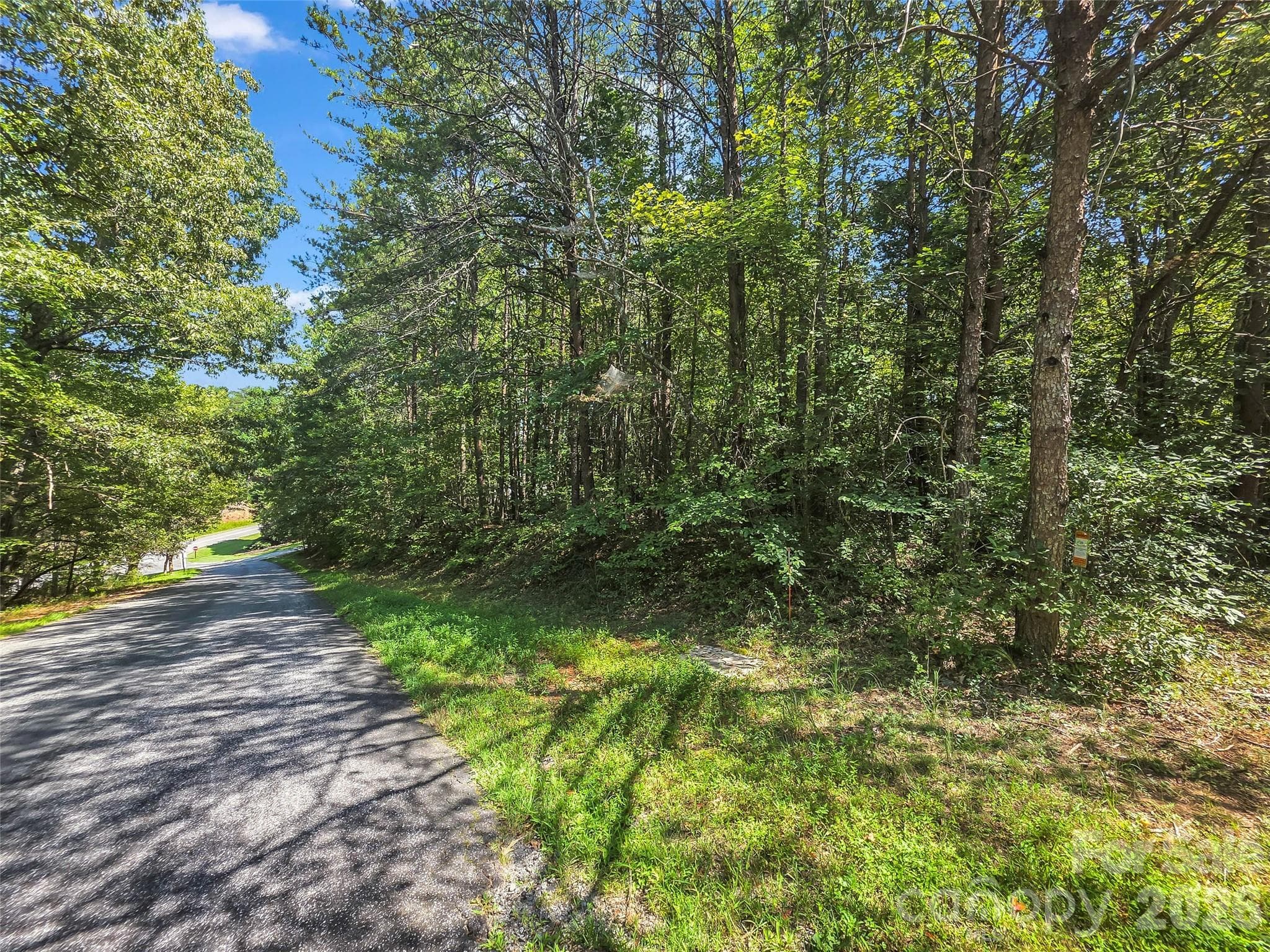 Lot at 0 Shumont Estates Drive, Lake Lure, photo 5 of 36