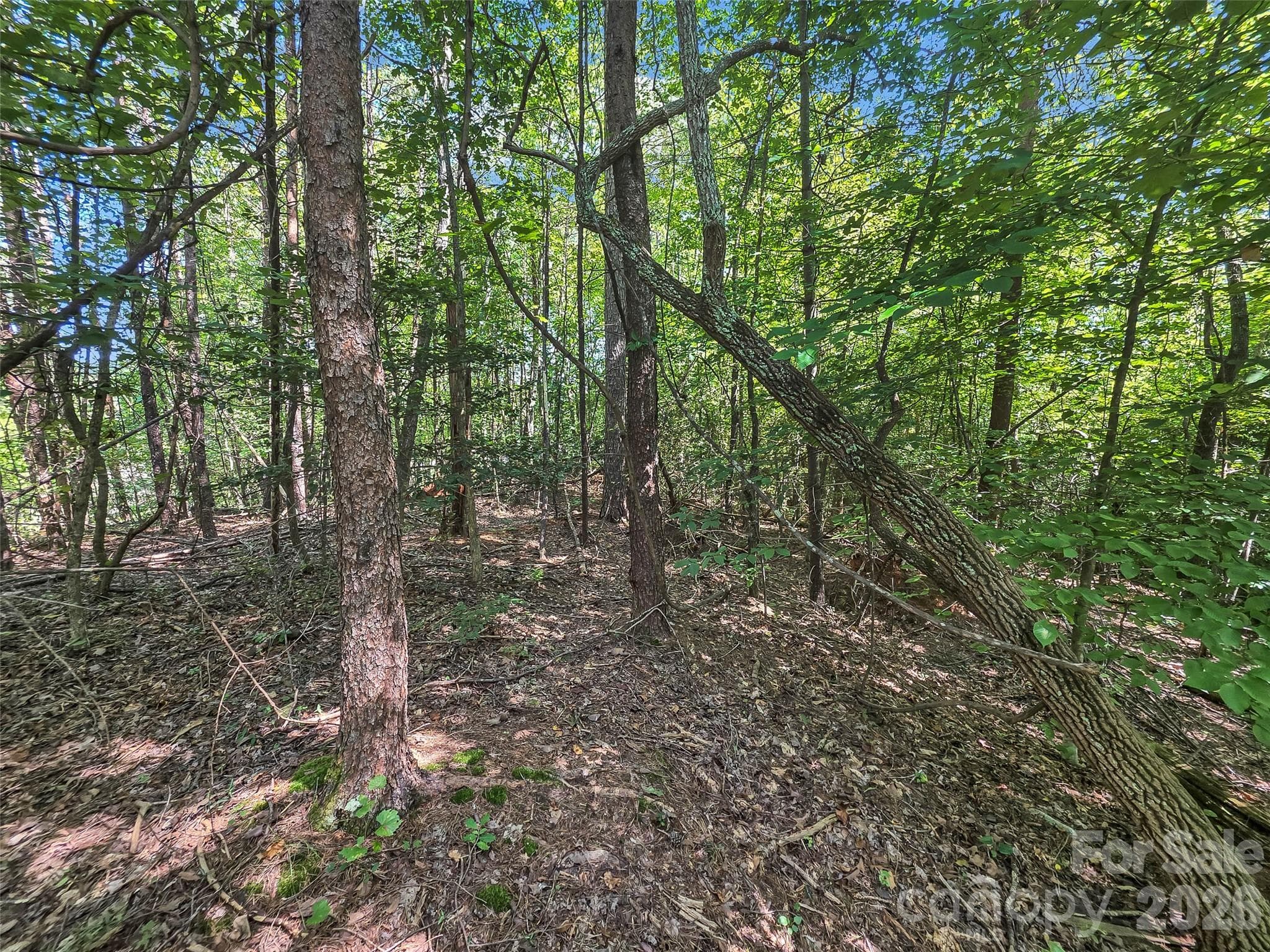 Lot at 0 Shumont Estates Drive, Lake Lure, photo 6 of 36