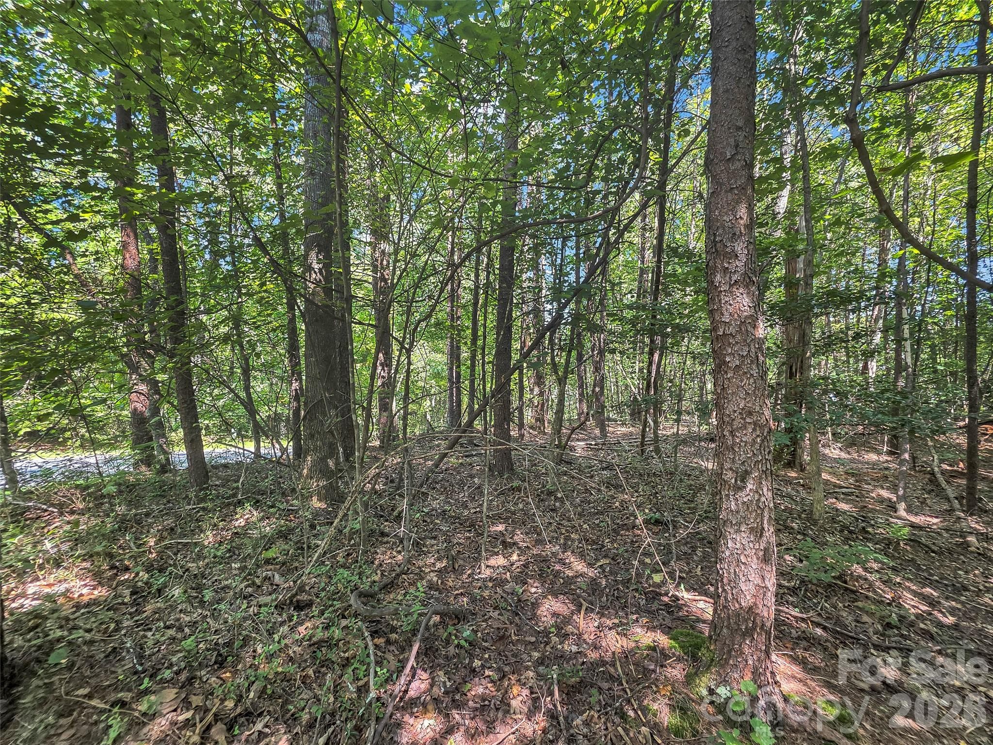 Lot at 0 Shumont Estates Drive, Lake Lure, photo 8 of 36