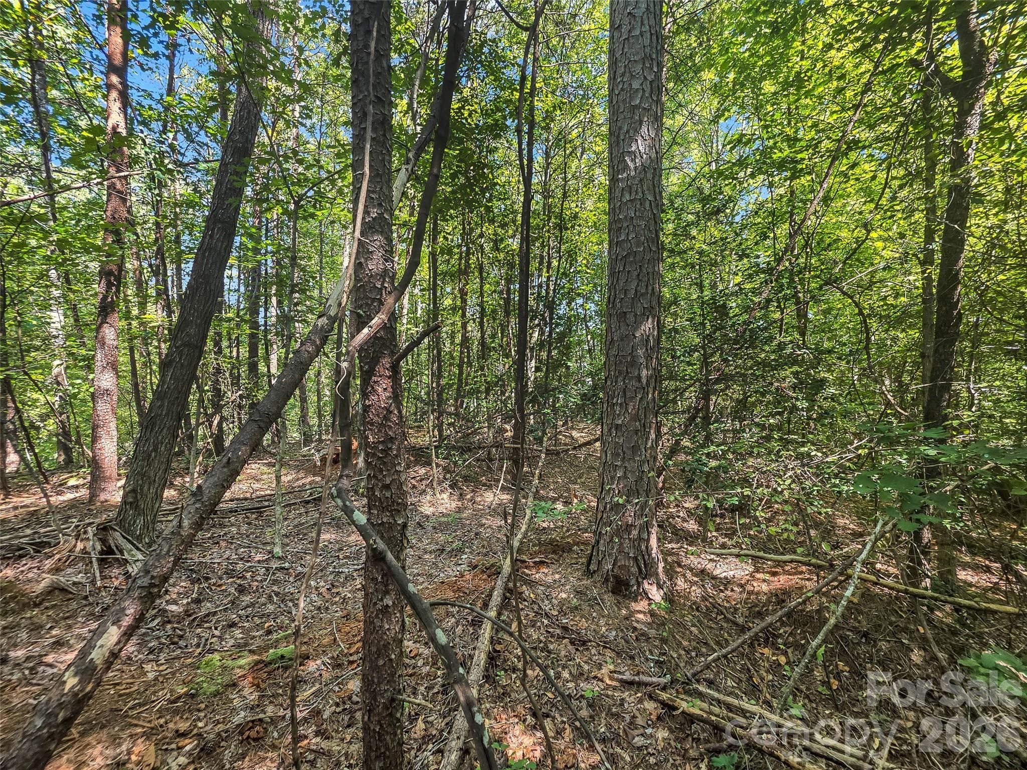 Lot at 0 Shumont Estates Drive, Lake Lure, photo 10 of 36