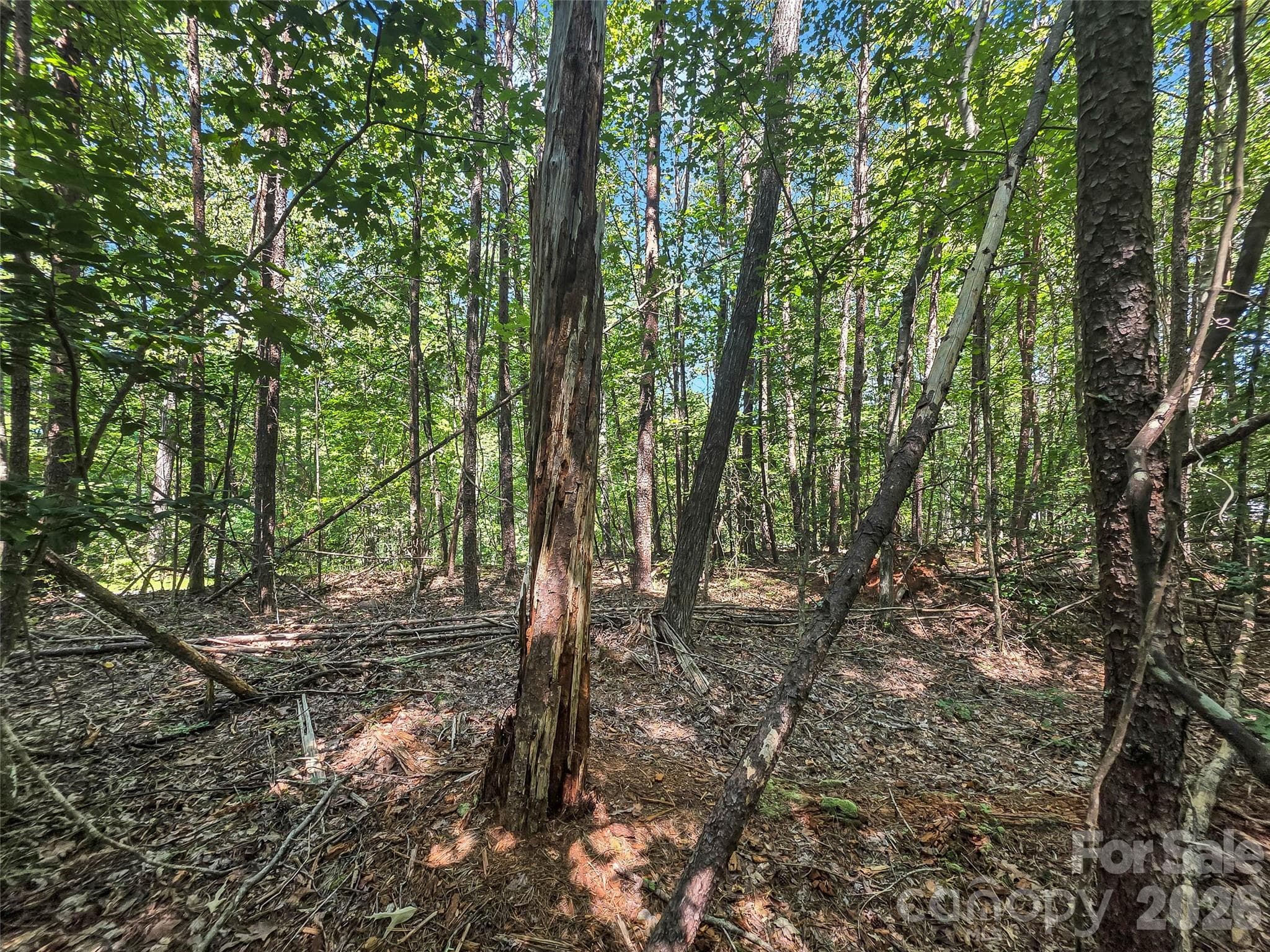 Lot at 0 Shumont Estates Drive, Lake Lure, photo 11 of 36