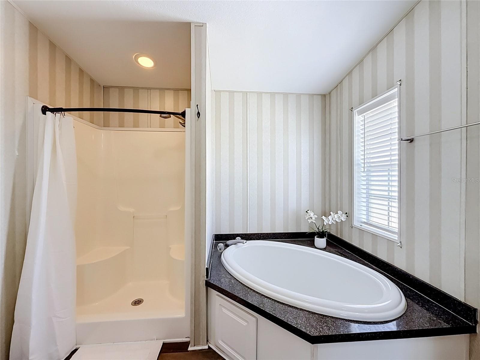 Master bathroom - 25110 ALAMANDA DR, ASTATULA