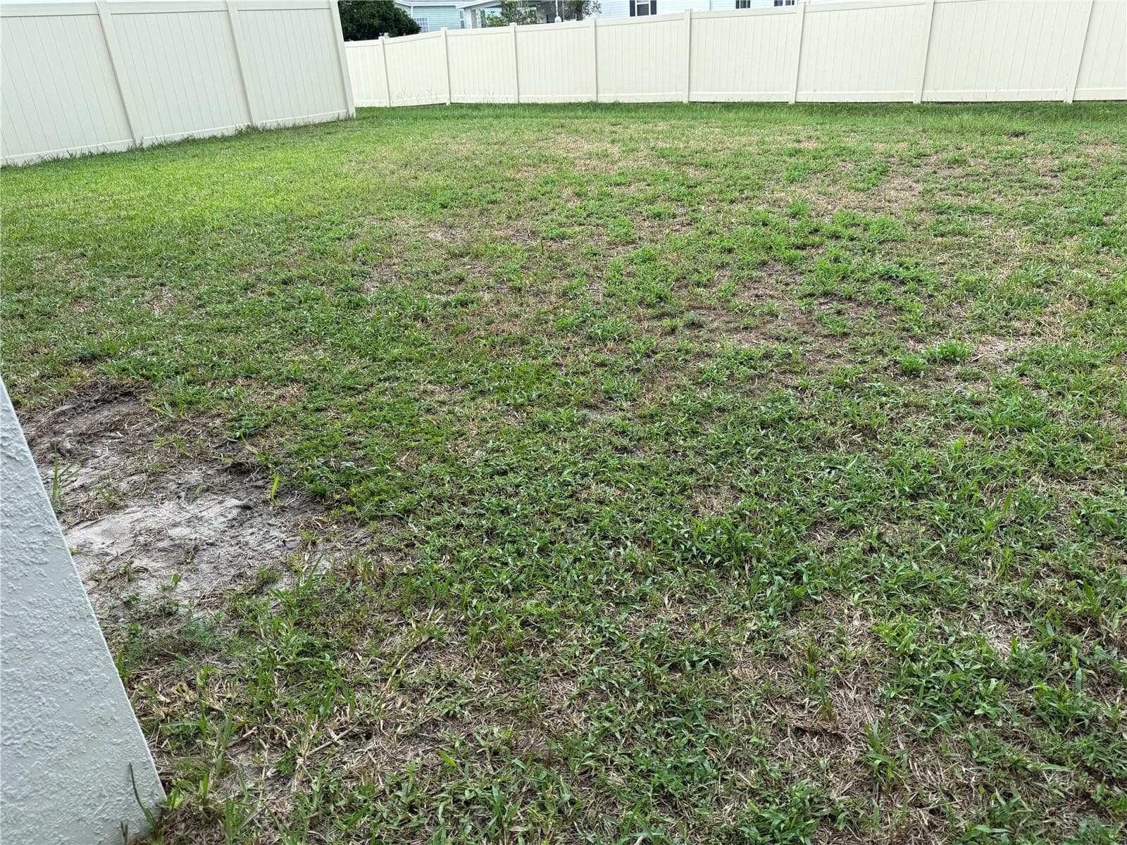 yard - 1755 YELLOW TRL, LAKELAND