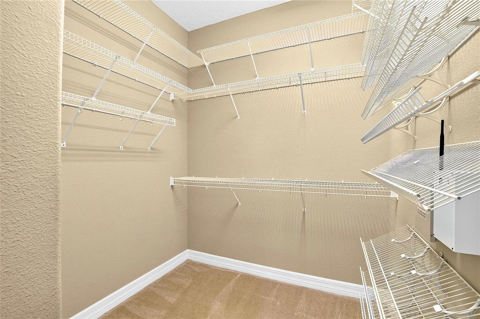 HUGE WALK IN CLOSET - 13975 MCINTOSH RD, THONOTOSASSA