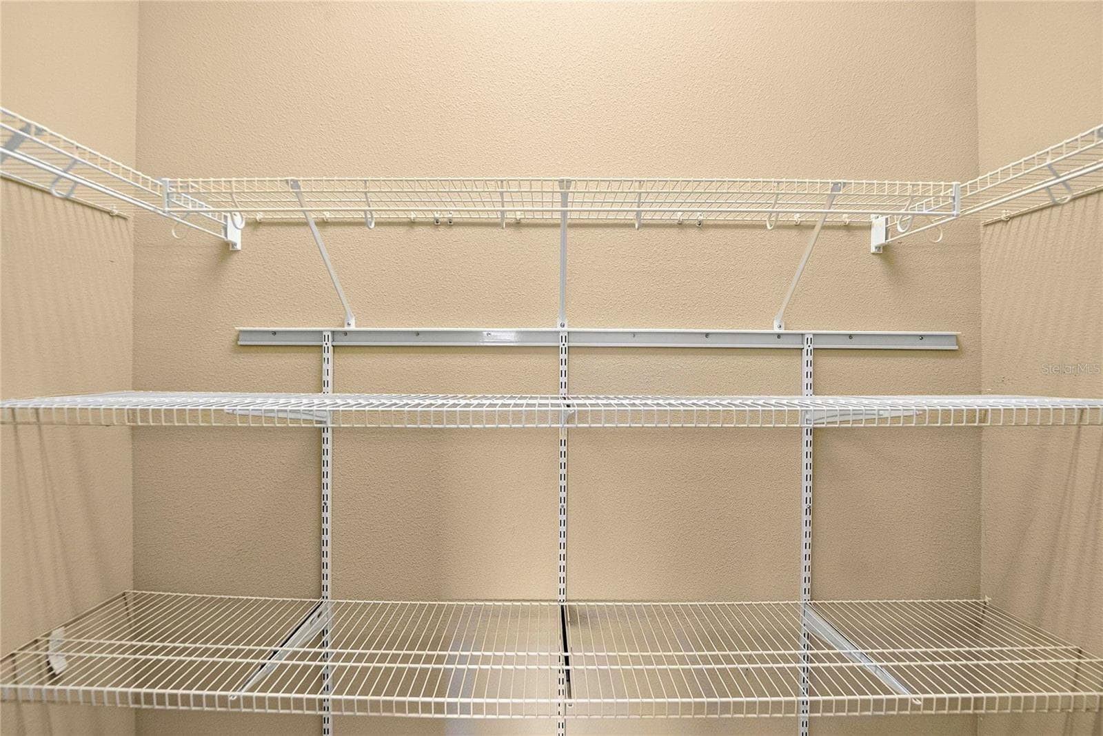 BR 3 CLOSET - 13975 MCINTOSH RD, THONOTOSASSA