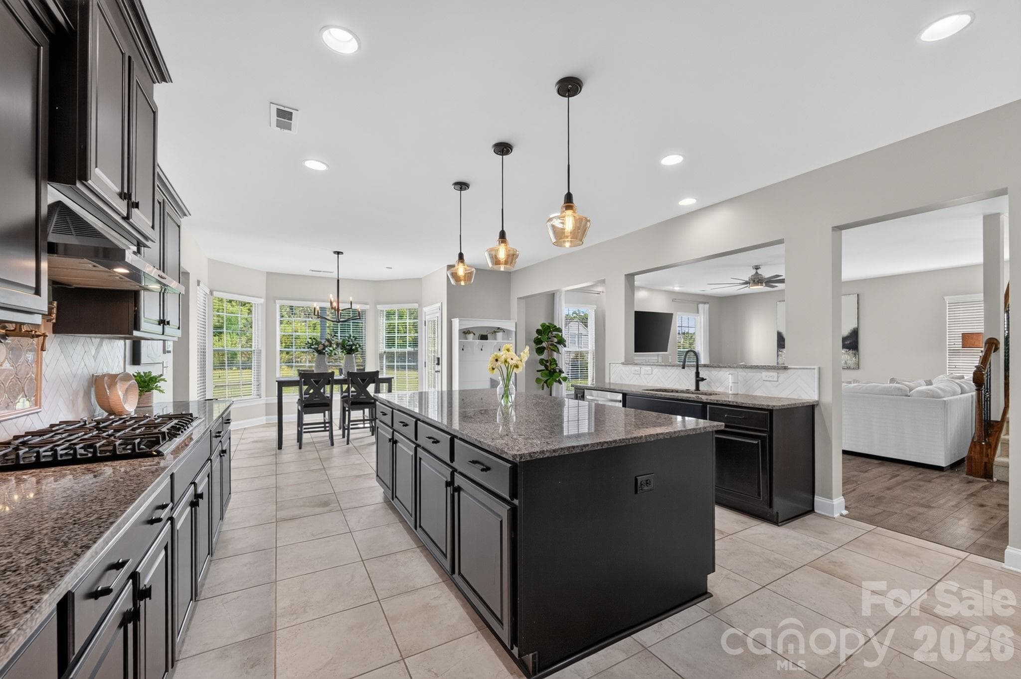 Single Family Residence at 15110 Brannock Hills Drive, Charlotte, photo 6 of 48
