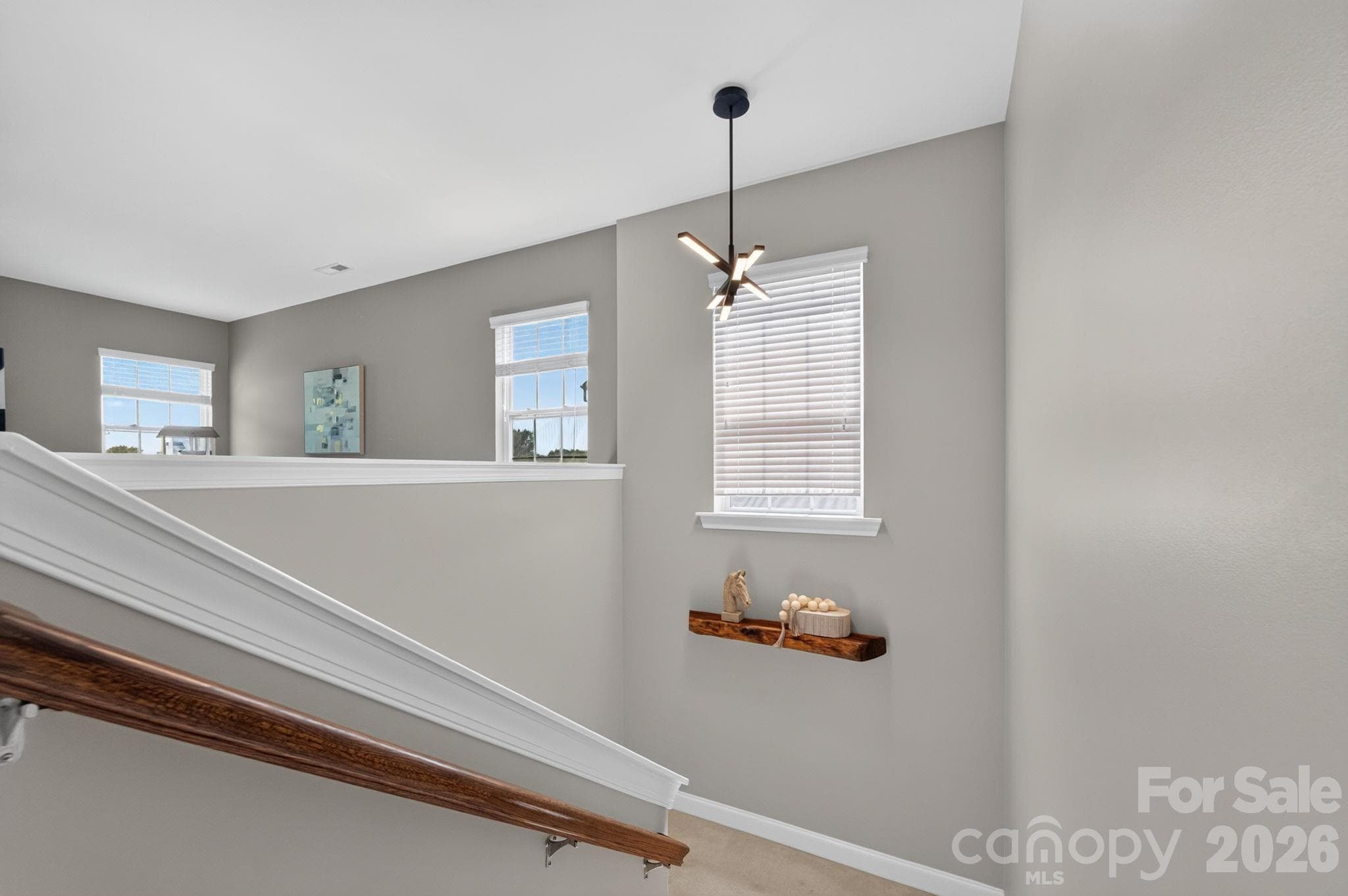Single Family Residence at 15110 Brannock Hills Drive, Charlotte, photo 28 of 48