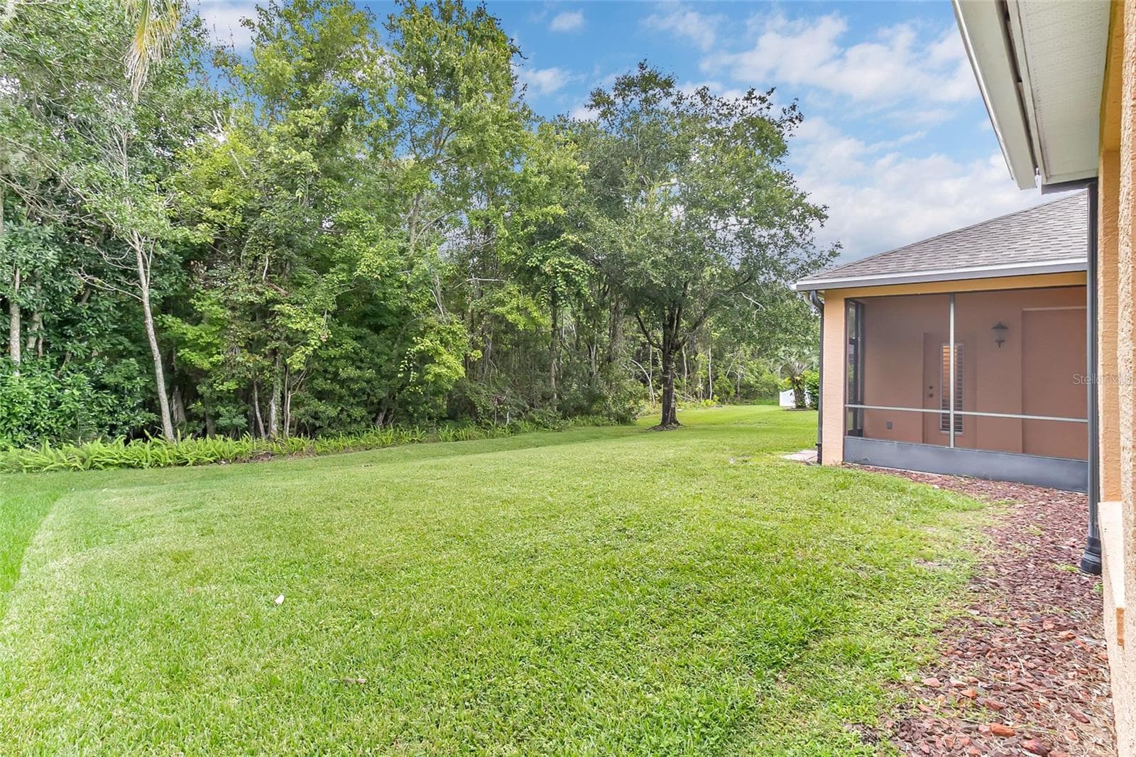 Large Back Yard backs up to conservation. Plenty of room for a pool! - 2672 ALOMA OAKS DR, OVIEDO