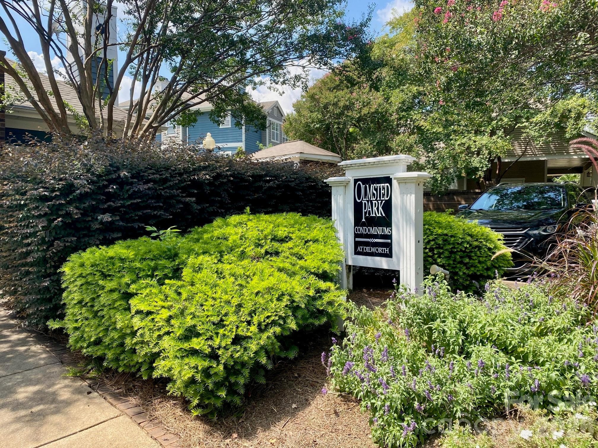 Welcome to Olmsted Park! - 417 Olmsted Park Place, Charlotte