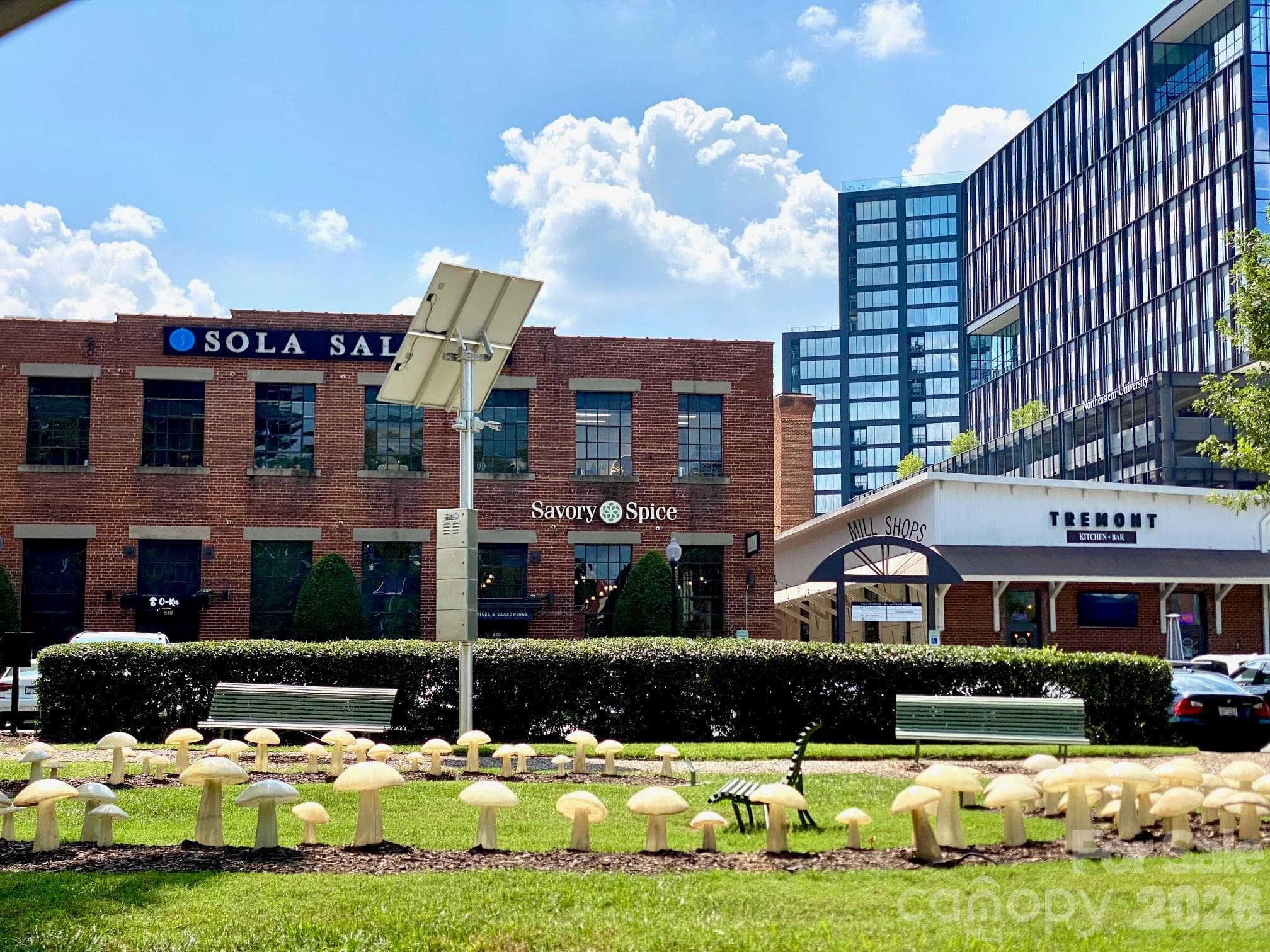 Great Shopping - 417 Olmsted Park Place, Charlotte