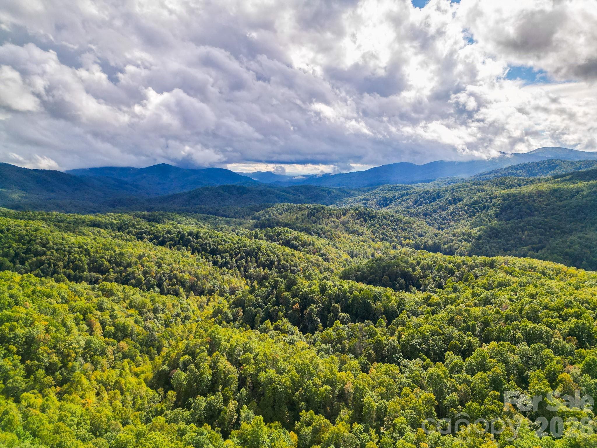 Acreage at Black Mountain, photo 2 of 30