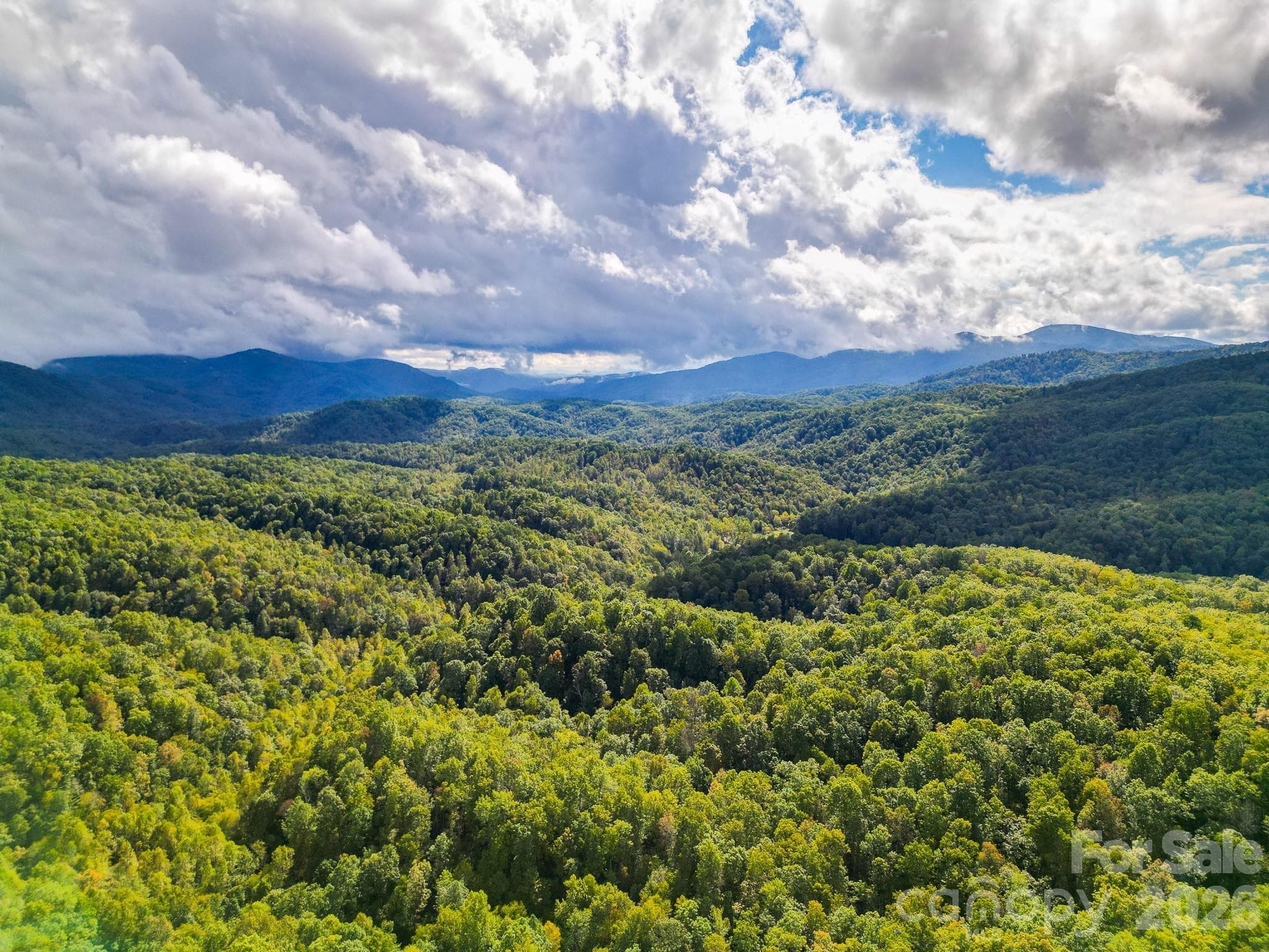 Acreage at Black Mountain, photo 4 of 30