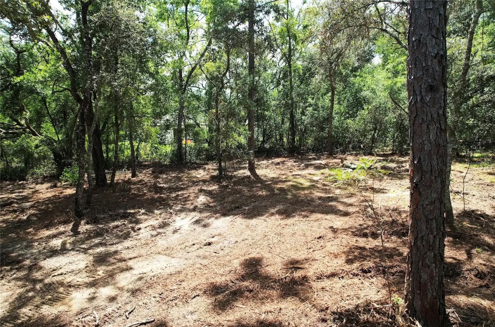 Land at 3094 E SCOFIELD ST, INVERNESS, photo 2 of 7