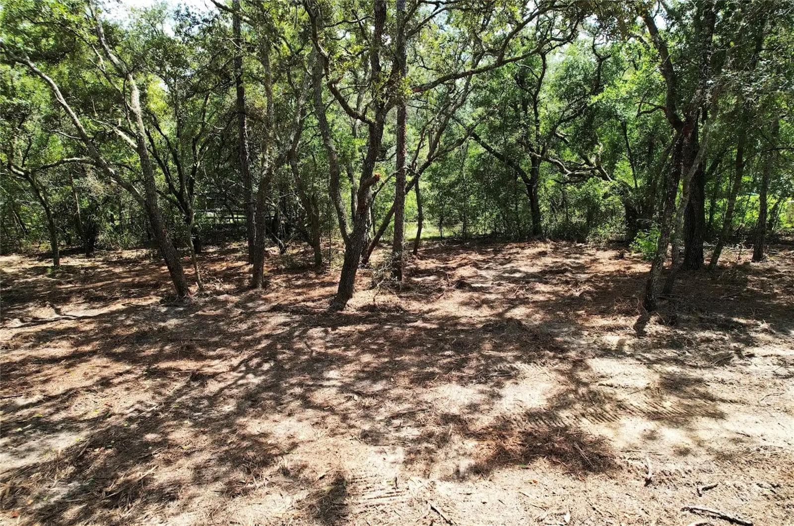 Land at 3094 E SCOFIELD ST, INVERNESS, photo 3 of 7
