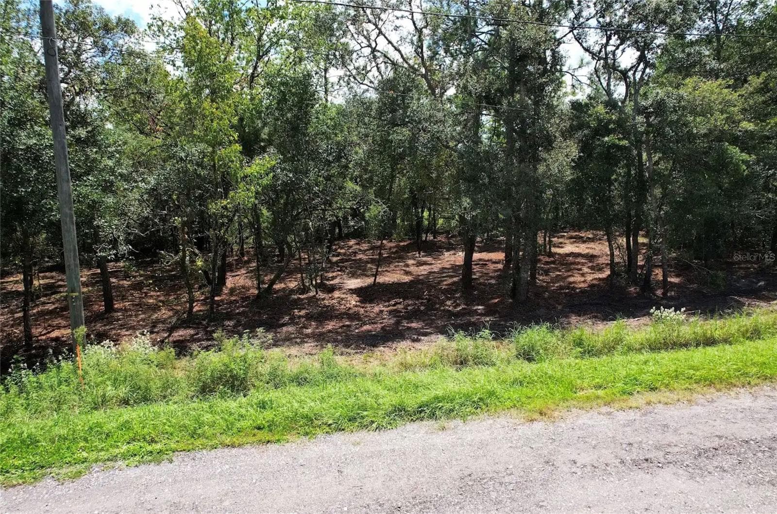 Land at 3094 E SCOFIELD ST, INVERNESS, photo 5 of 7