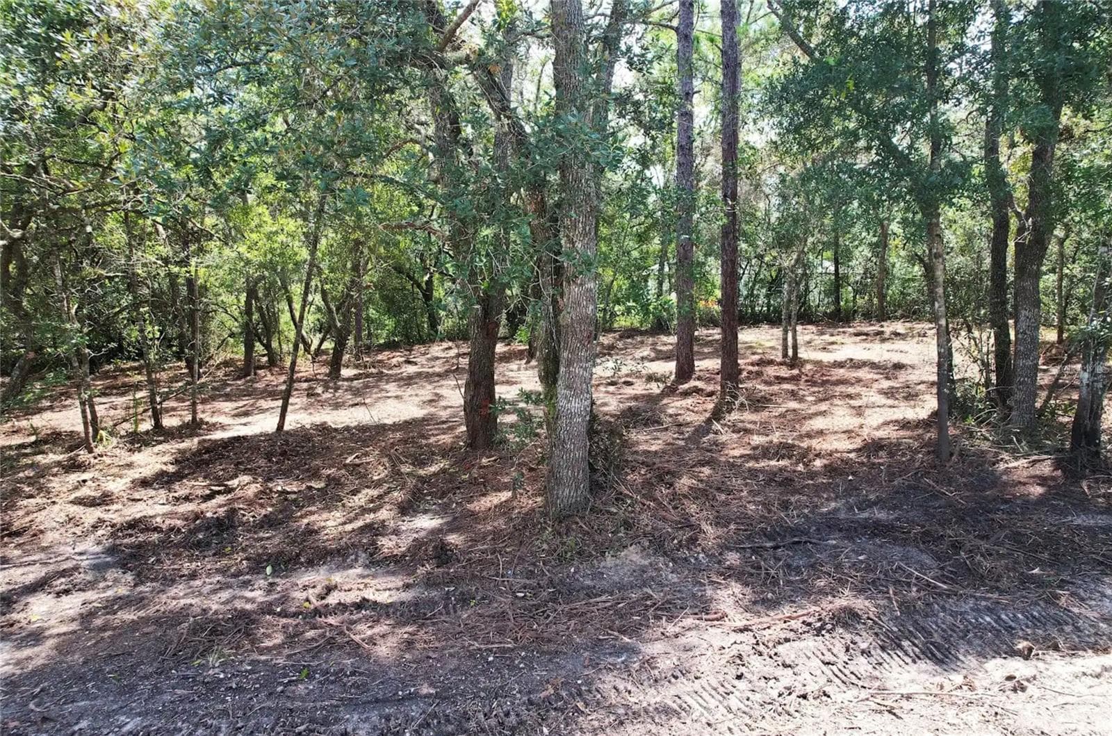 Land at 3094 E SCOFIELD ST, INVERNESS, photo 7 of 7