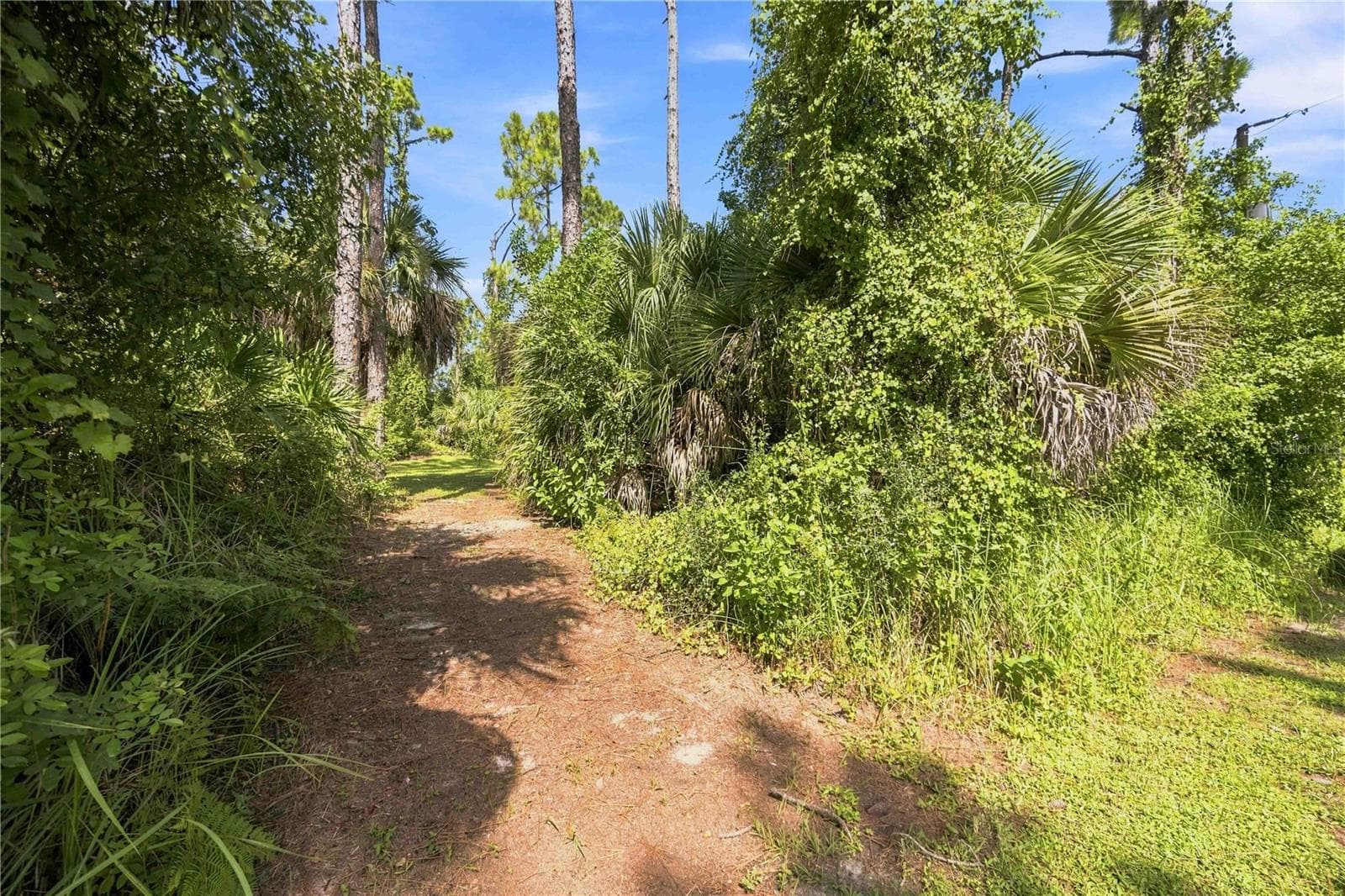 Single Family Residence at 1711 NAFTAL RD, NORTH PORT, photo 60 of 75
