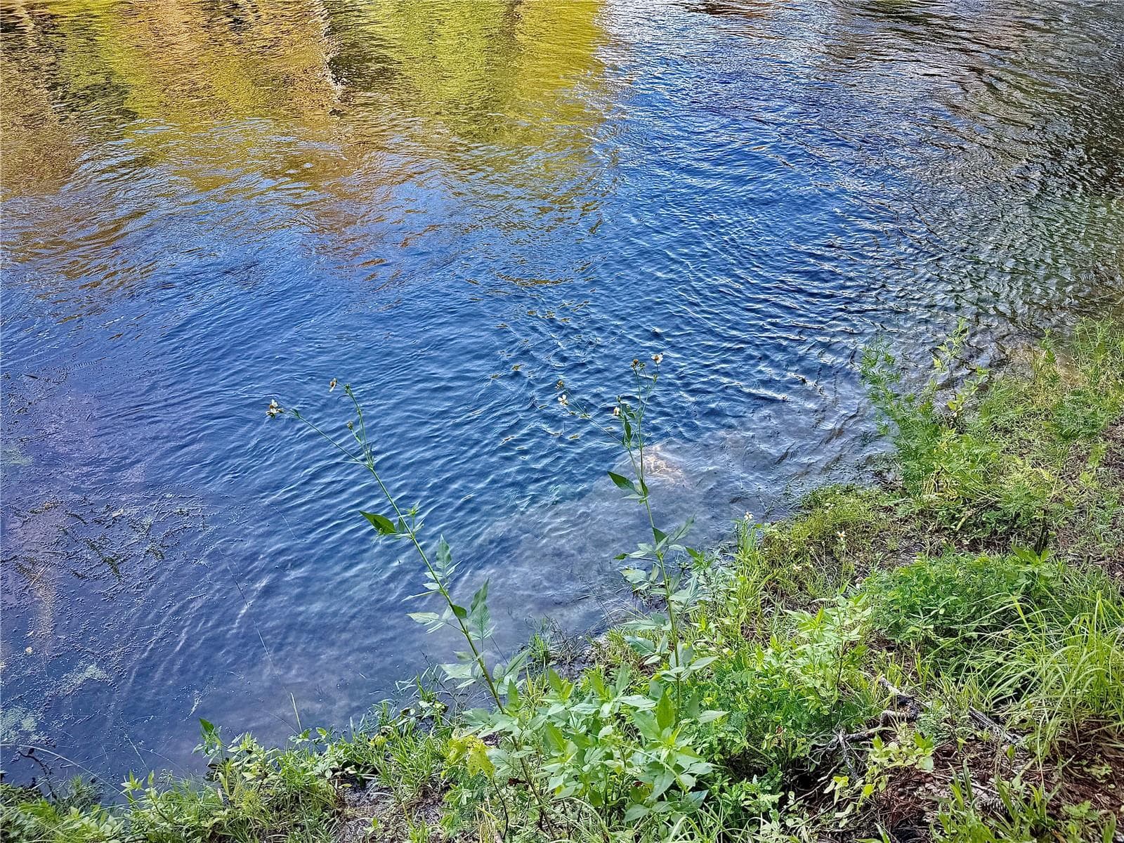 Wilderness RV Resort River Access - 10226 NE 28TH LOOP, SILVER SPRINGS
