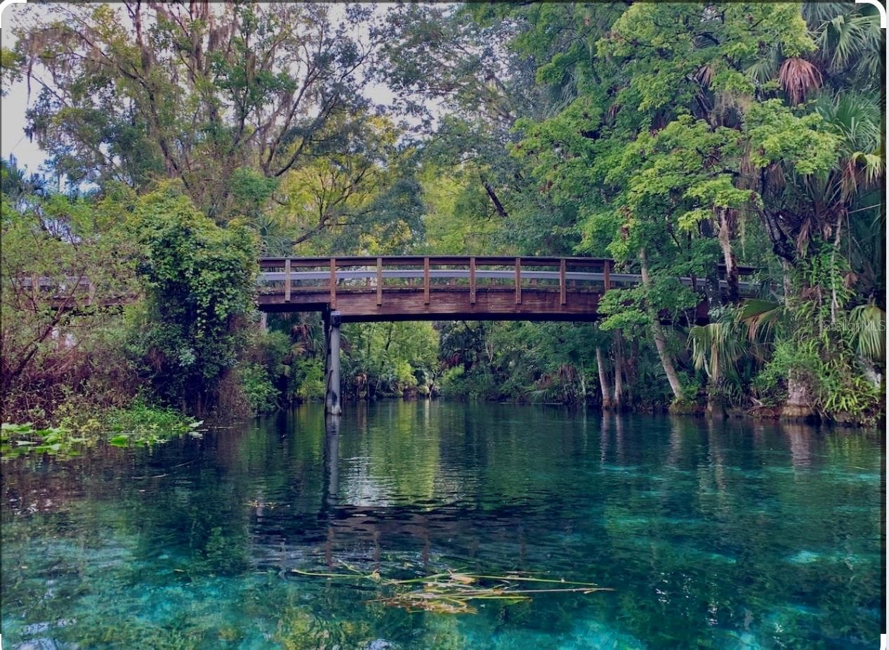 Silver Springs State Park - 10226 NE 28TH LOOP, SILVER SPRINGS