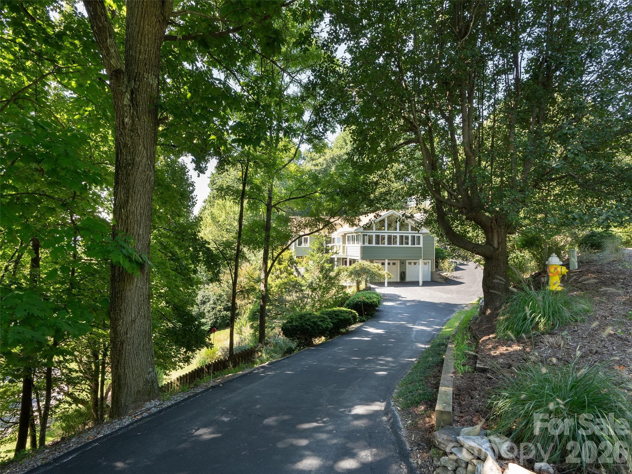 Tree-lined driveway - 288 Roberts Drive, Laurel Park