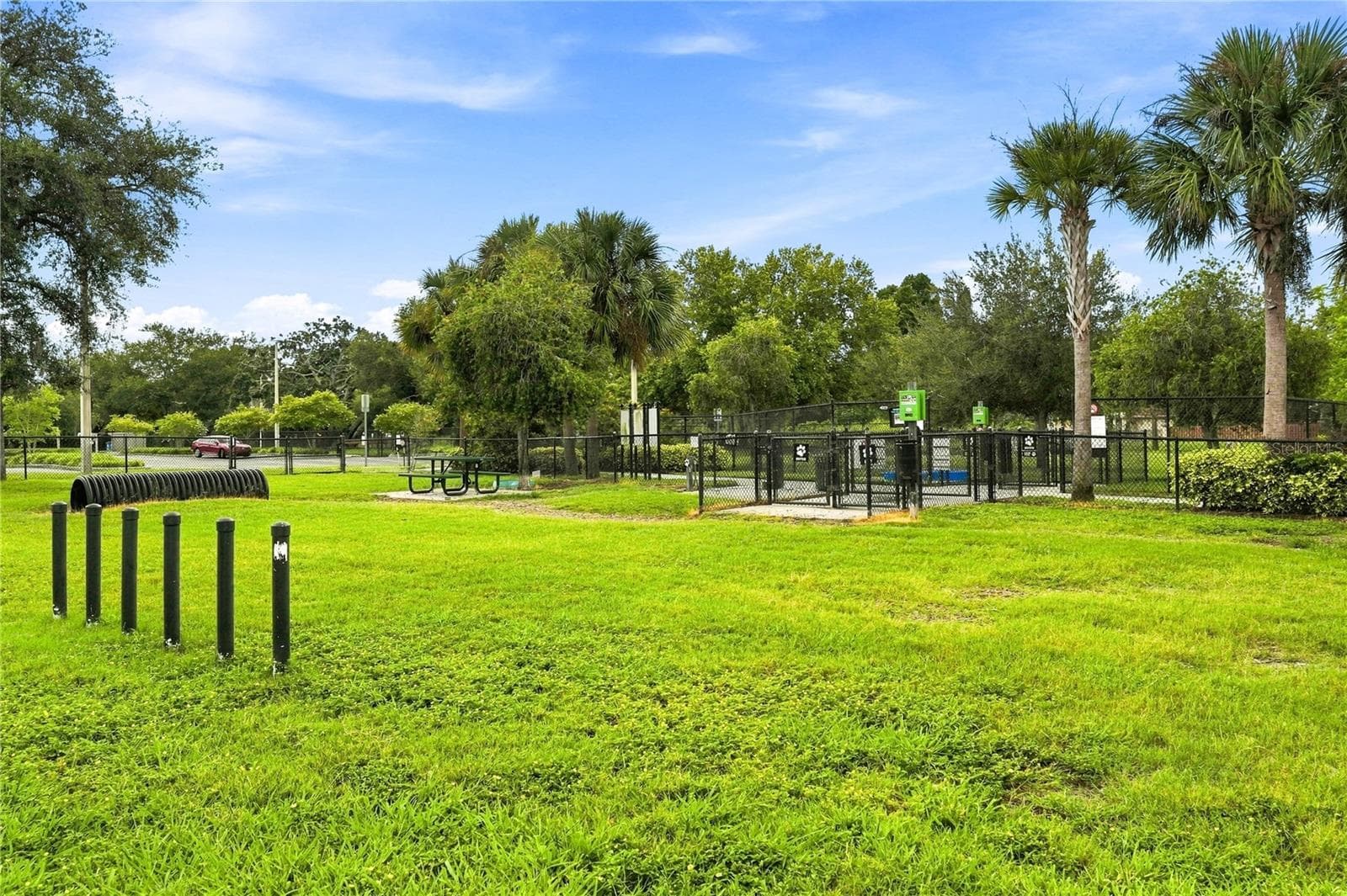 Dog Park - 679 LITCHFIELD LN, DUNEDIN