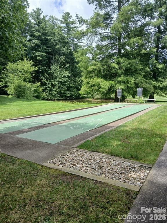 Shuffleboard - 304 red oak Drive, Hendersonville