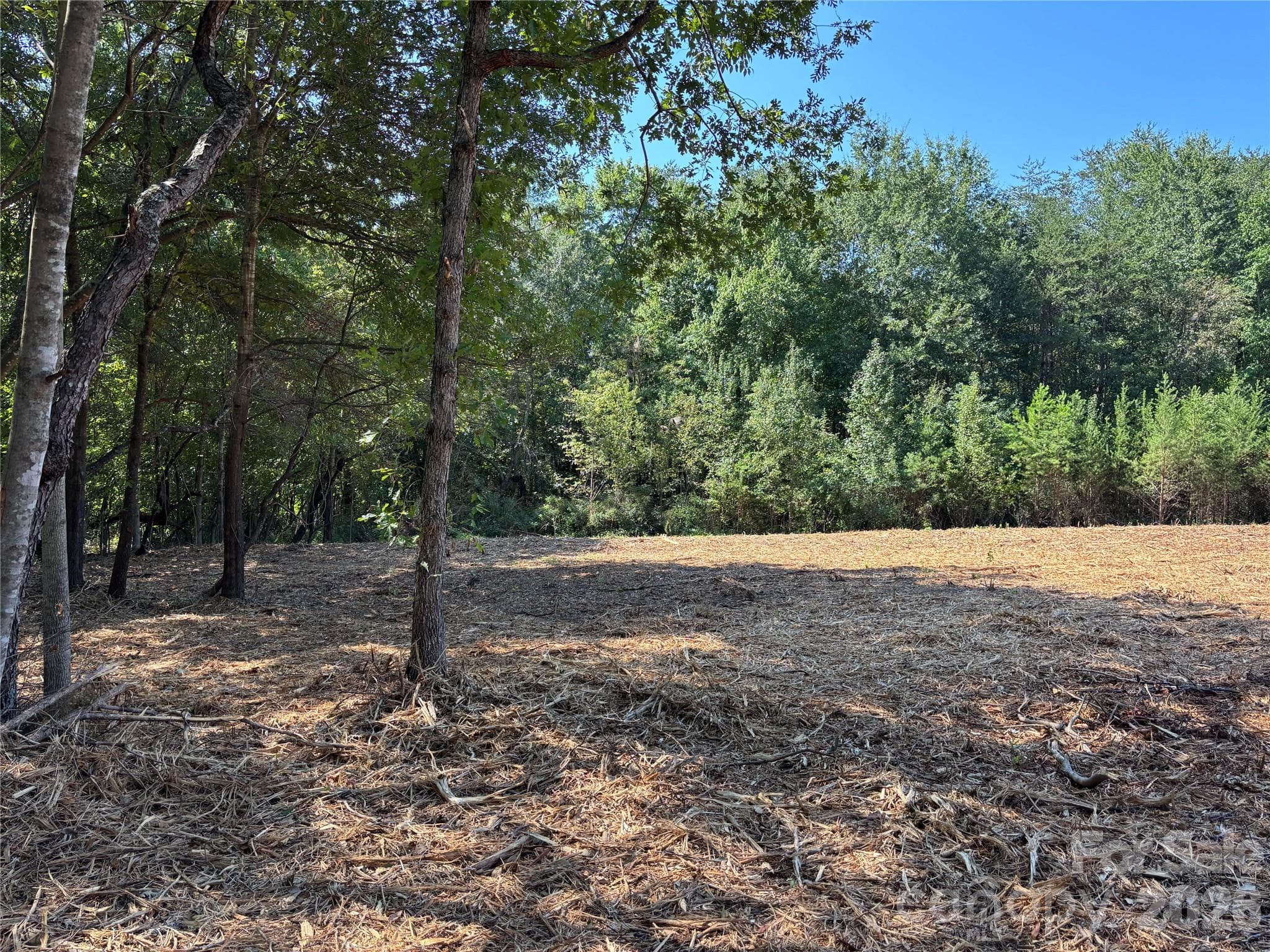 Acreage at 2923 Doc Pugh Road, Connelly Springs, photo 15 of 17