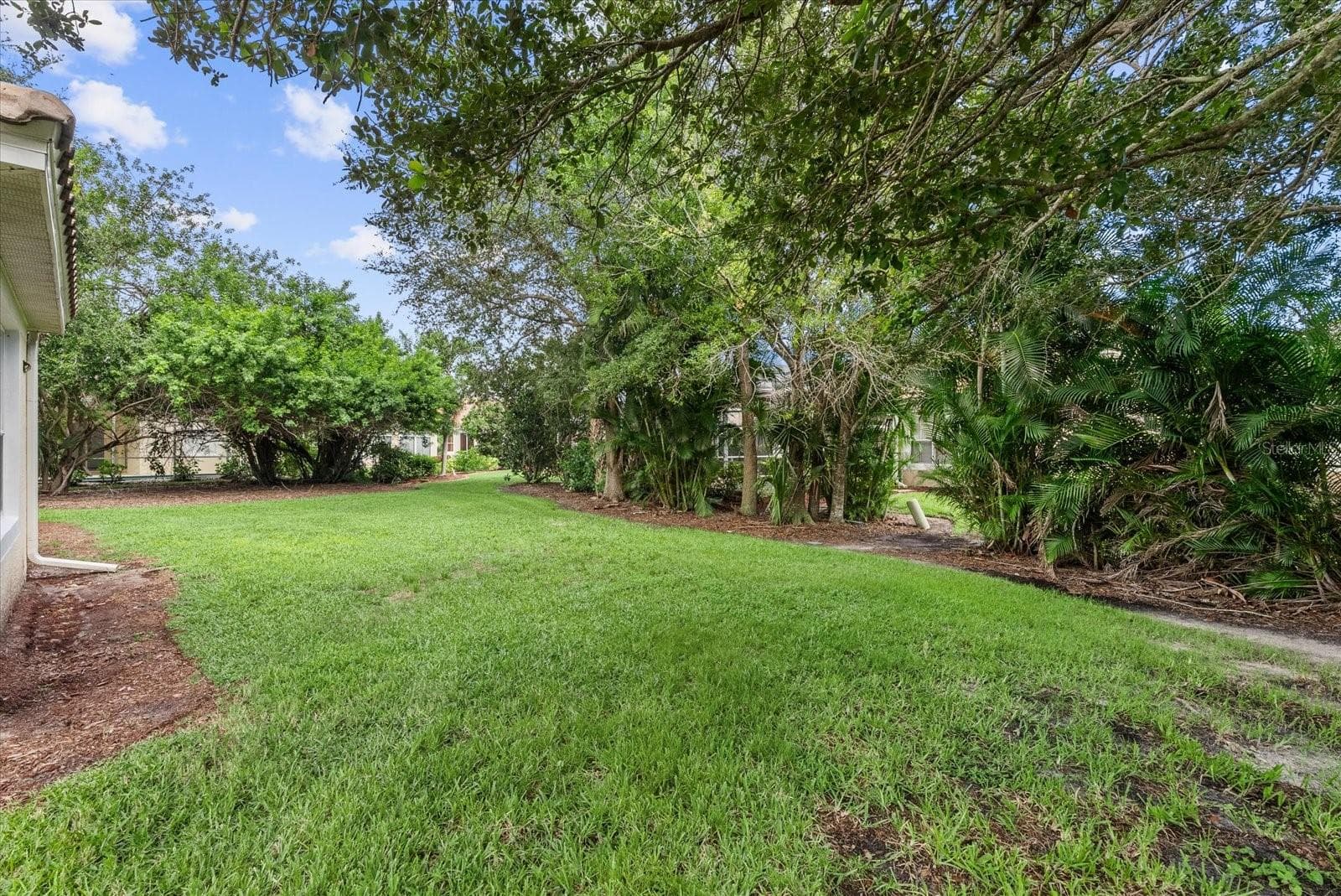 Backyard - 324 LANGHOLM DR, VENICE