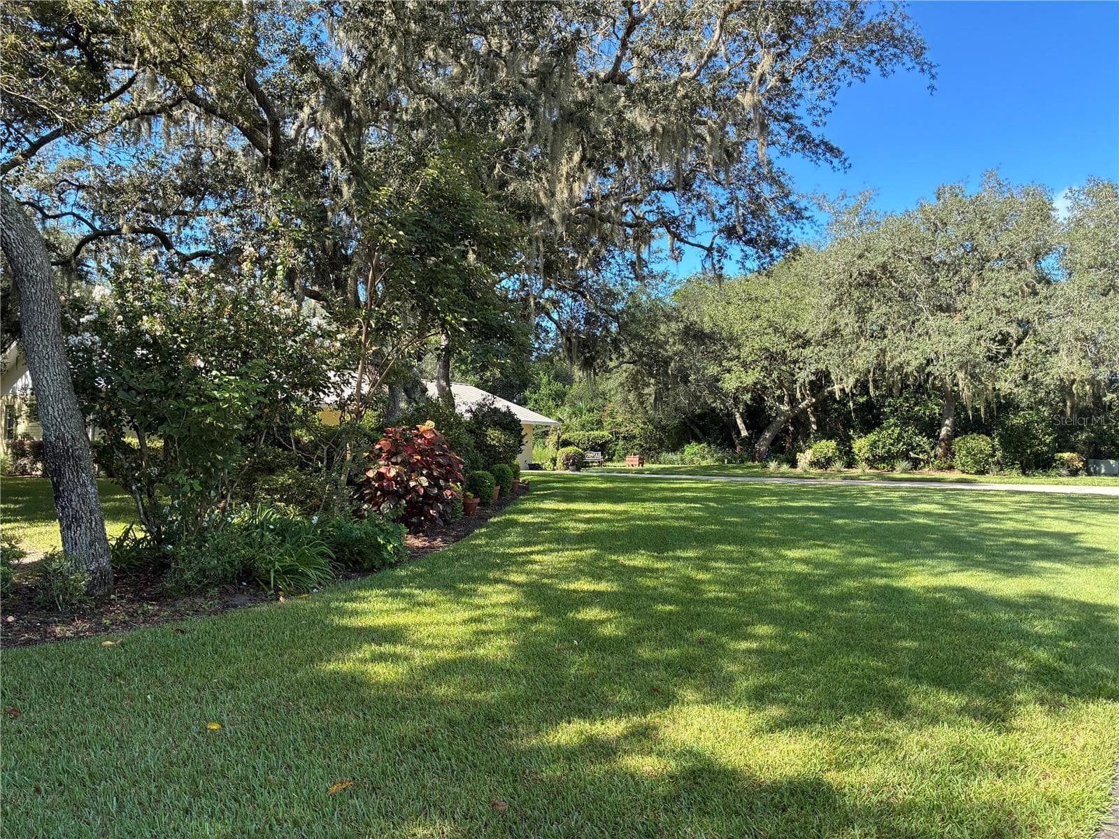 FRONT YARD - 41 SPRING LN, HAINES CITY