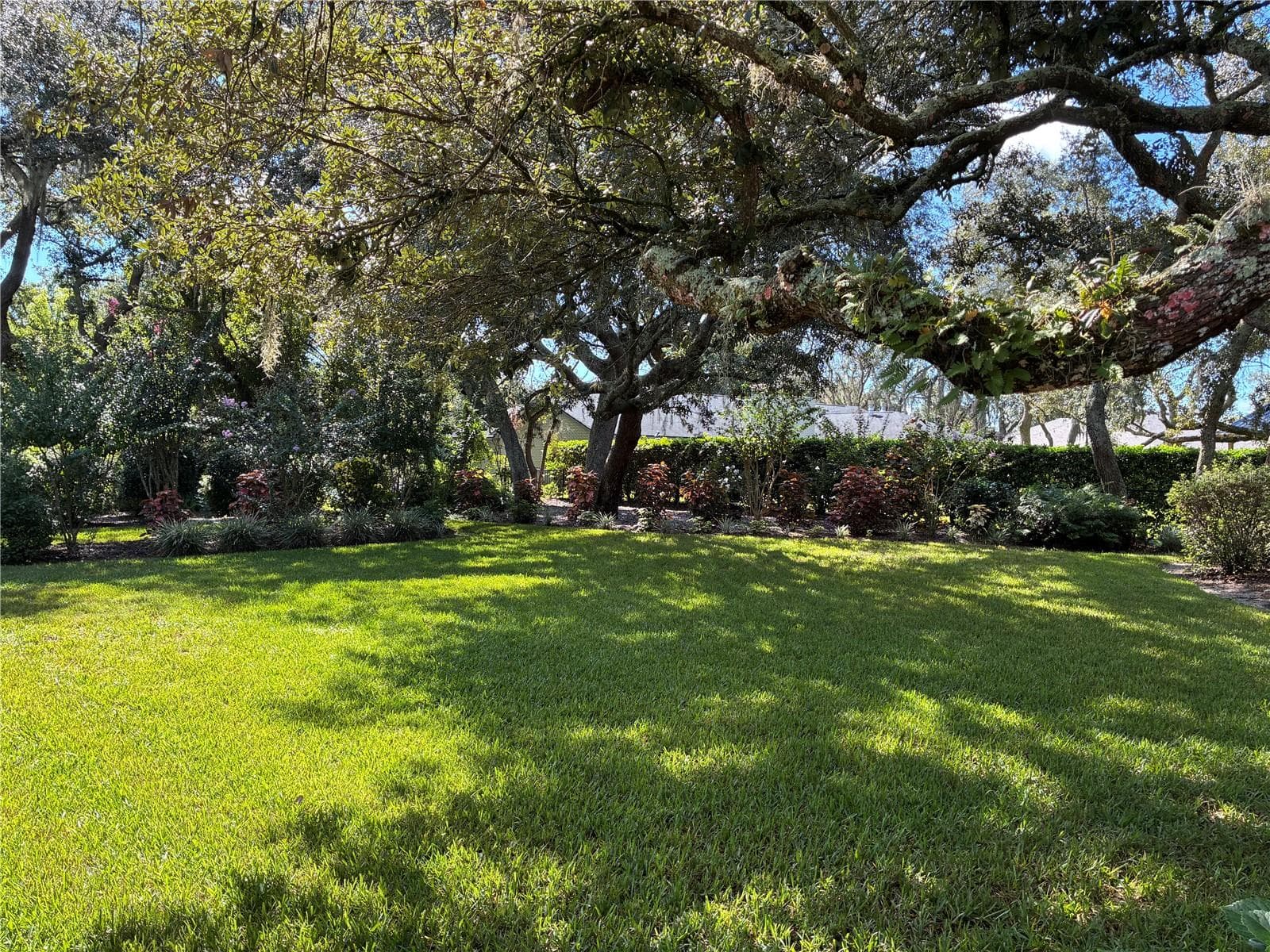 BACKYARD - 41 SPRING LN, HAINES CITY