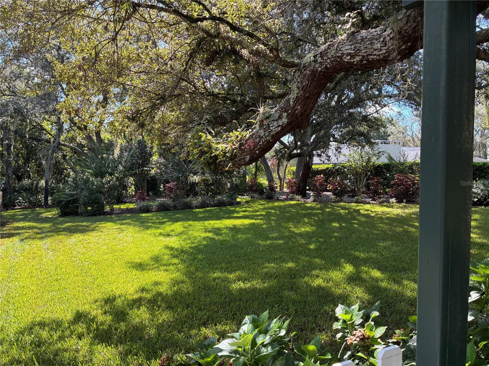 BACKYARD - 41 SPRING LN, HAINES CITY