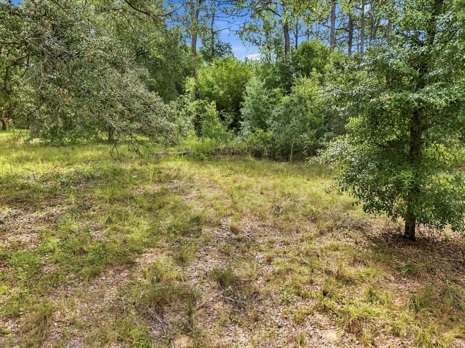 Land at 89 S HAID TER, LECANTO, photo 3 of 27