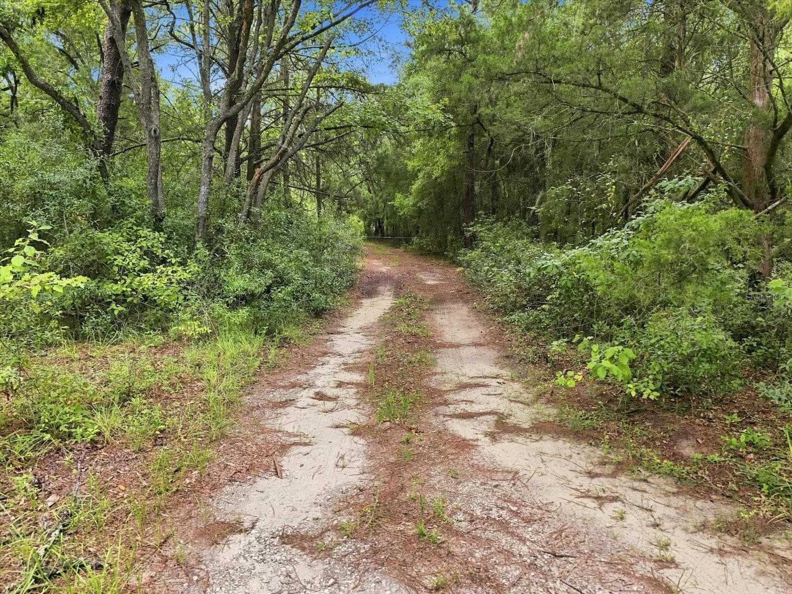 Land at 89 S HAID TER, LECANTO, photo 4 of 27