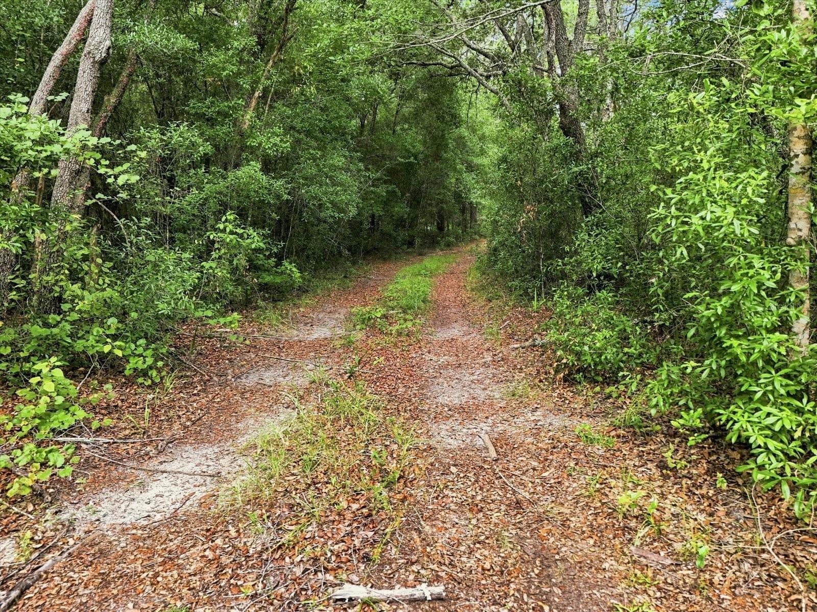 Land at 89 S HAID TER, LECANTO, photo 5 of 27