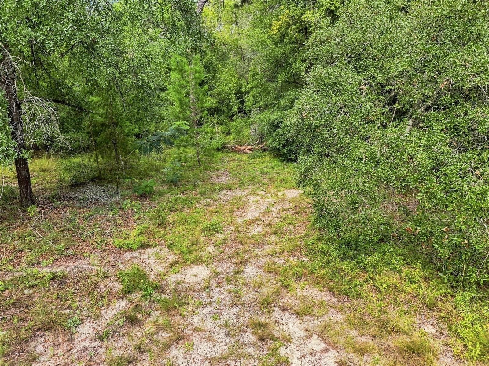 Land at 89 S HAID TER, LECANTO, photo 14 of 27