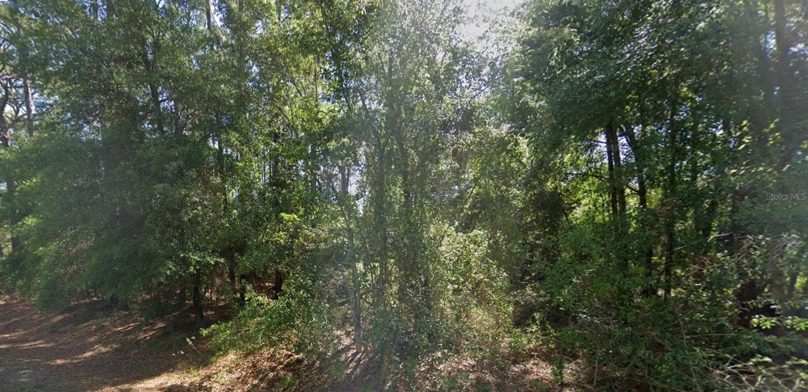 lot 84 SE 99TH AVE