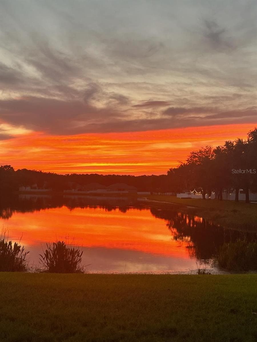Photo worthy sunsets from your own backyard - 18022 LAKE REFLECTIONS BLVD, LUTZ