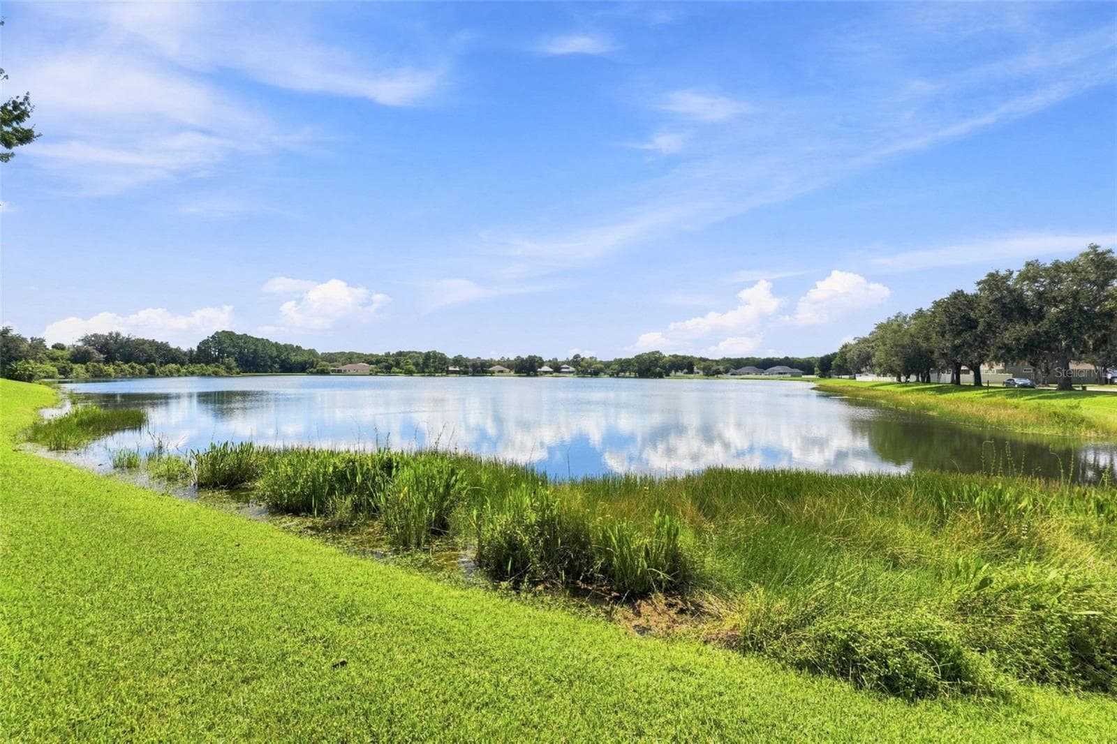 Relax in your yard overlooking the beautiful water - 18022 LAKE REFLECTIONS BLVD, LUTZ