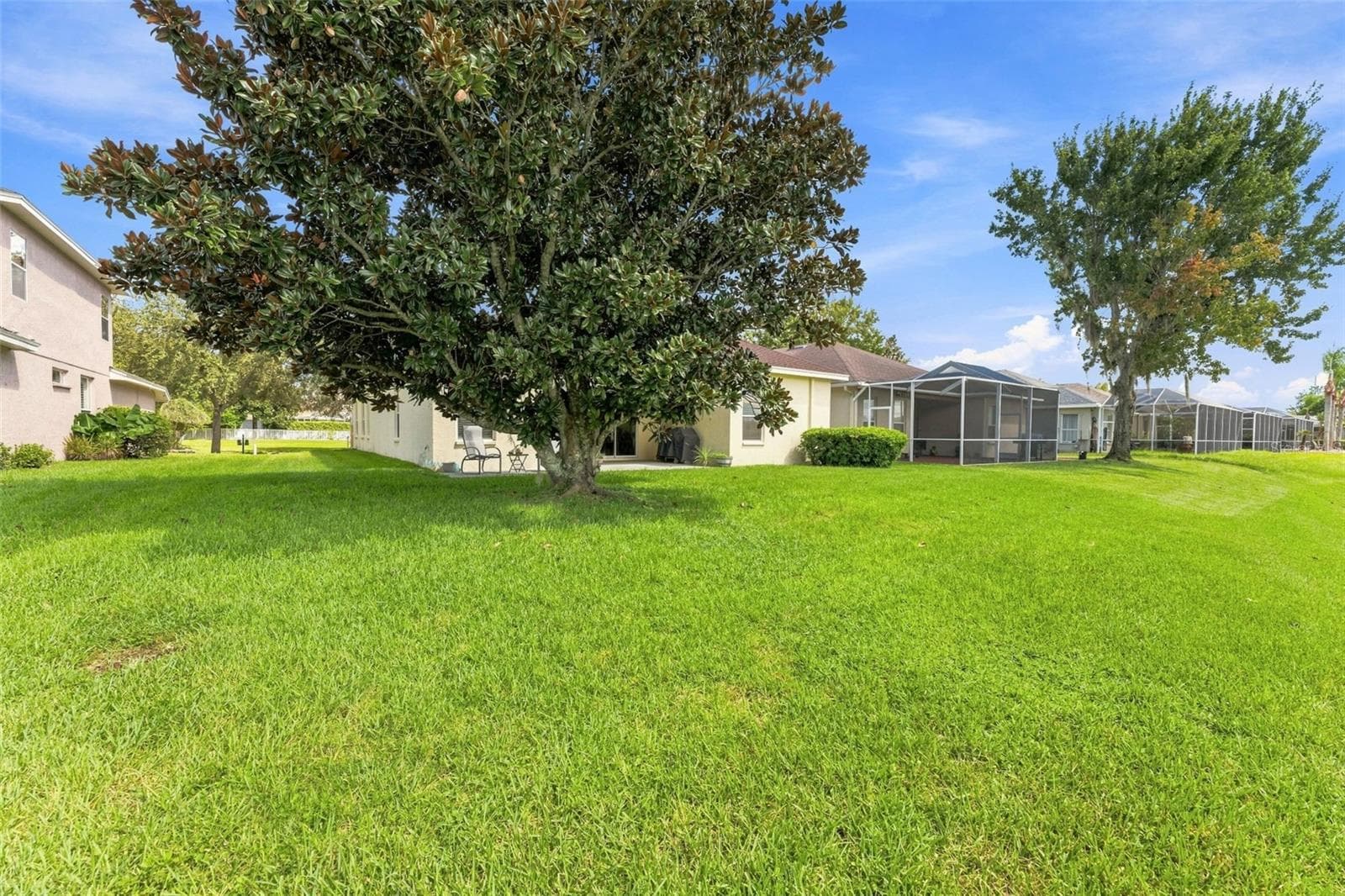Lots of space to run around in your yard - 18022 LAKE REFLECTIONS BLVD, LUTZ