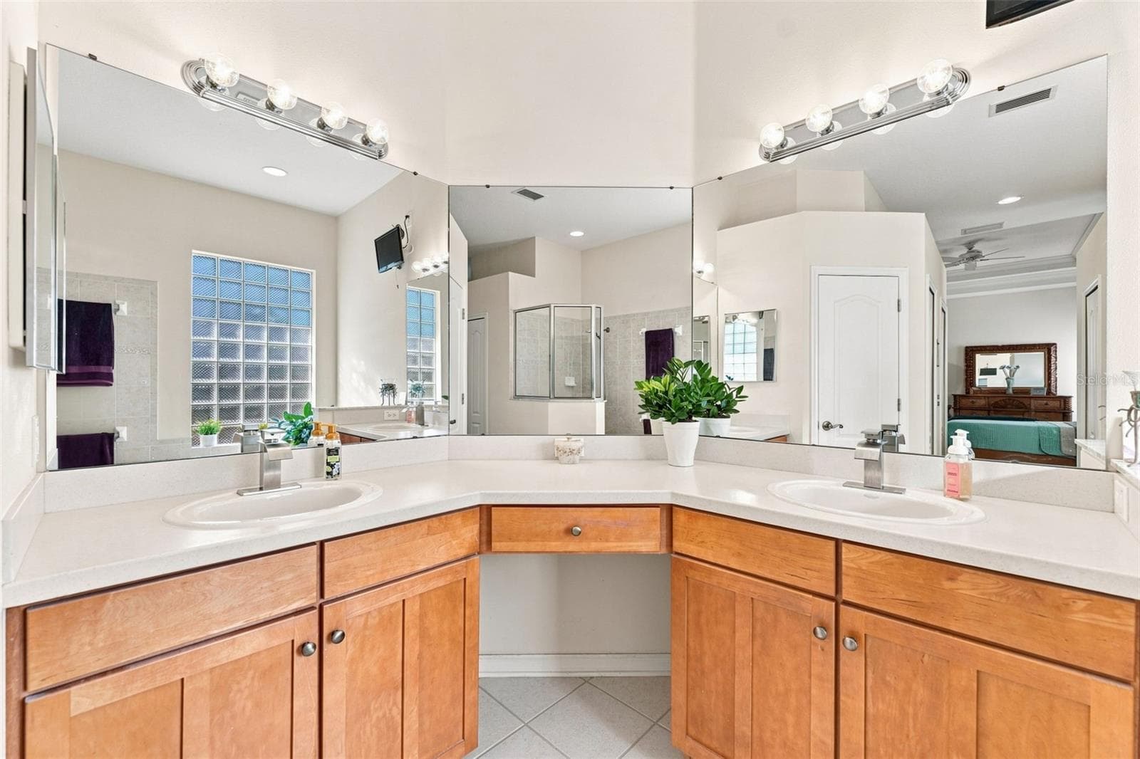 Primary Suite Bath has plenty of counter space and storage - 18022 LAKE REFLECTIONS BLVD, LUTZ
