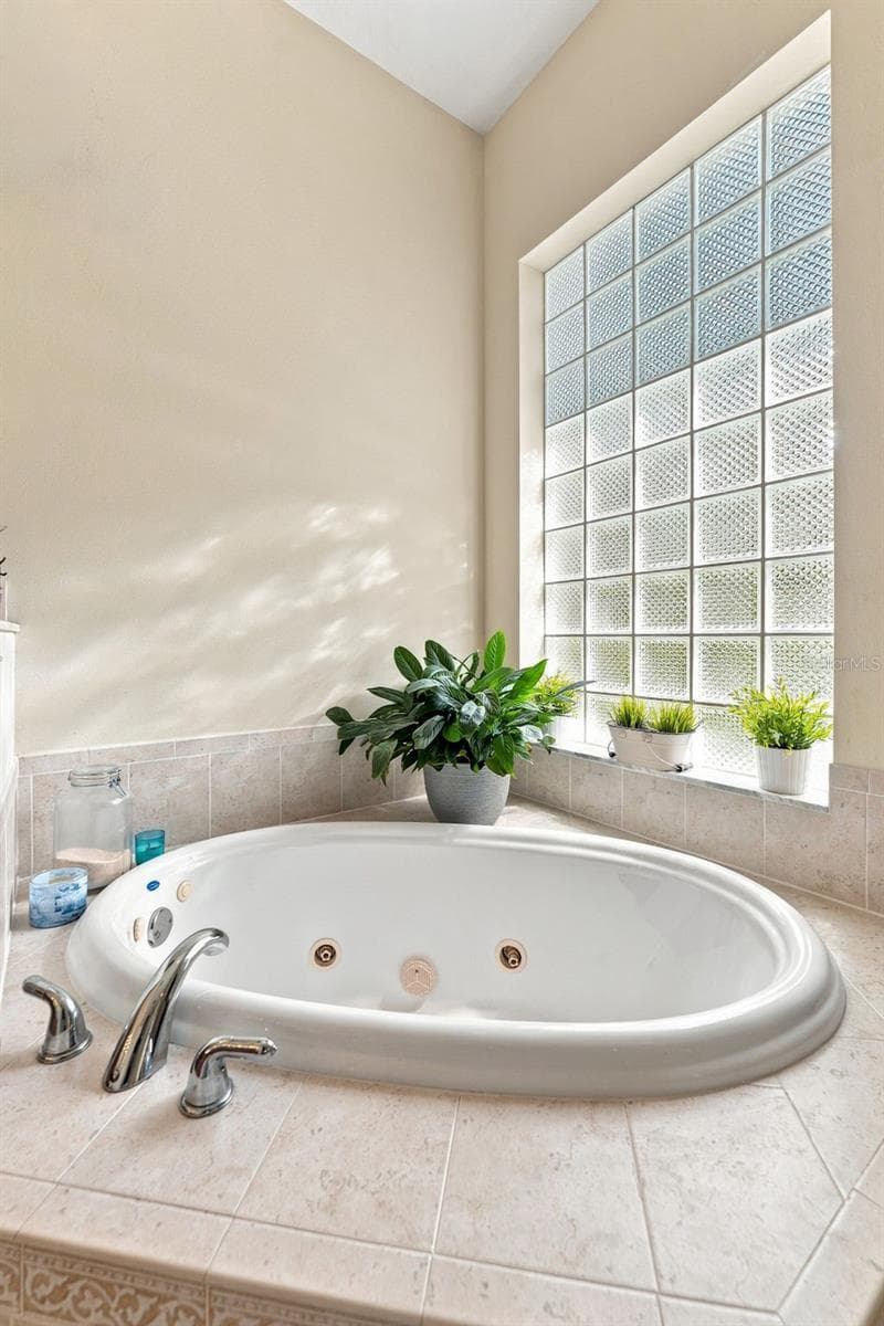 Relaxing Soaking Tub - 18022 LAKE REFLECTIONS BLVD, LUTZ