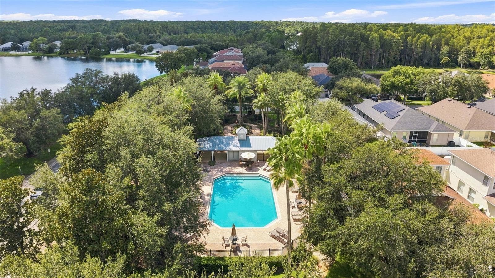Private Community Pool - 18022 LAKE REFLECTIONS BLVD, LUTZ