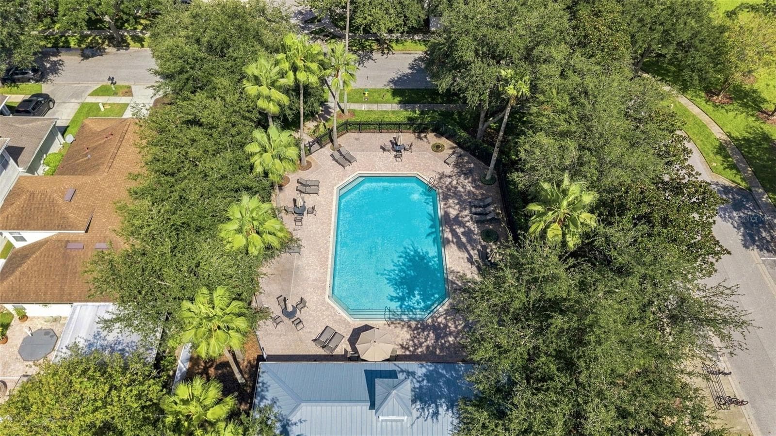 Neighborhood Pool - 18022 LAKE REFLECTIONS BLVD, LUTZ