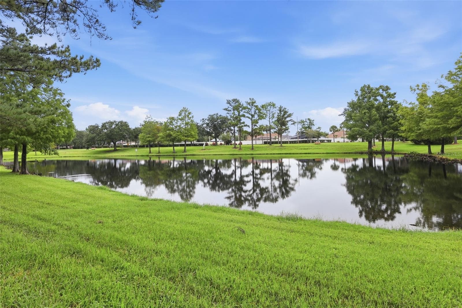 Pond views create a beautiful backdrop right in your own backyard. - 13637 EMERALDVIEW DR, ORLANDO